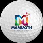 Protech Air Branded Golf Balls